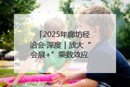 2025年廊坊经洽会·深度｜放大“会展+”乘数效应 打造消费新场景