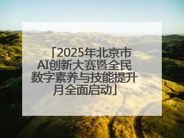 2025年北京市AI创新大赛暨全民数字素养与技能提升月全面启动
