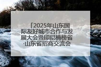 2025年山东国际友好城市合作与发展大会暨印尼楠榜省·山东省招商交流会在济南槐荫举行