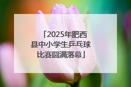 2025年肥西县中小学生乒乓球比赛圆满落幕