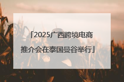 2025广西跨境电商推介会在泰国曼谷举行