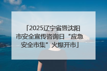 2025辽宁省暨沈阳市安全宣传咨询日“应急安全市集”火爆开市