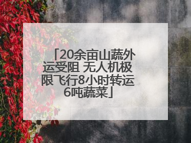 20余亩山蔬外运受阻 无人机极限飞行8小时转运6吨蔬菜