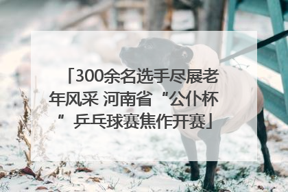 300余名选手尽展老年风采 河南省“公仆杯”乒乓球赛焦作开赛