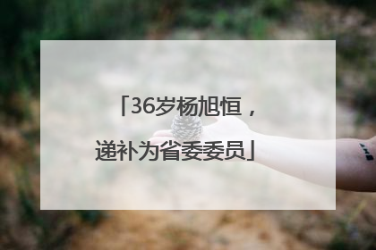36岁杨旭恒，递补为省委委员