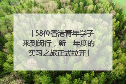 58位香港青年学子来到闵行，新一年度的实习之旅正式拉开