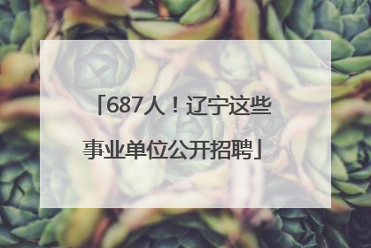 687人！辽宁这些事业单位公开招聘