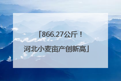 866.27公斤！河北小麦亩产创新高