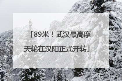 89米！武汉最高摩天轮在汉阳正式开转