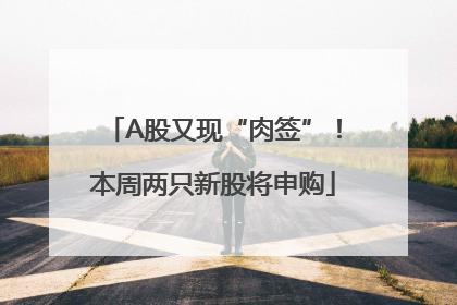 A股又现“肉签”！本周两只新股将申购