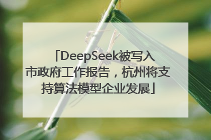 DeepSeek被写入市政府工作报告，杭州将支持算法模型企业发展