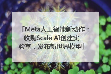 Meta人工智能新动作：收购Scale AI创建实验室，发布新世界模型