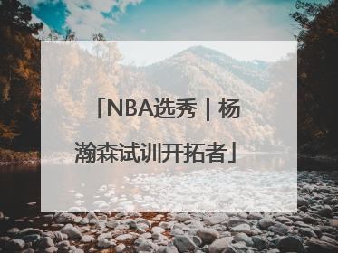 NBA选秀｜杨瀚森试训开拓者