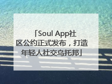 Soul App社区公约正式发布，打造年轻人社交乌托邦