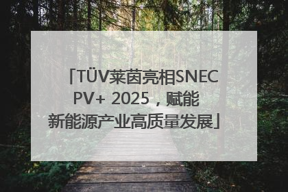TÜV莱茵亮相SNEC PV+ 2025，赋能新能源产业高质量发展